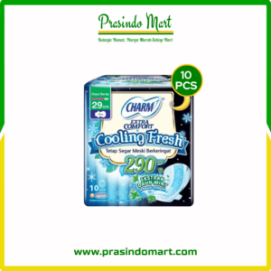 CHARM COOL FRESH 29CM 10PADS
