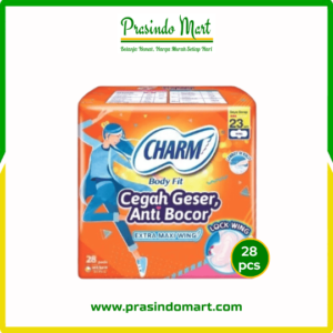 CHARM MAXI WINGS 23 CM ISI 28