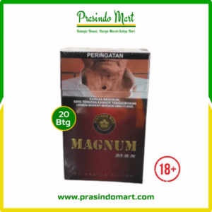 MAGNUM MAX 20B