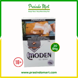 MODEN ICE BERRY 20B